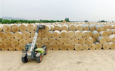甘肃省凉州区秸秆再利用 奖补机制引领新篇章