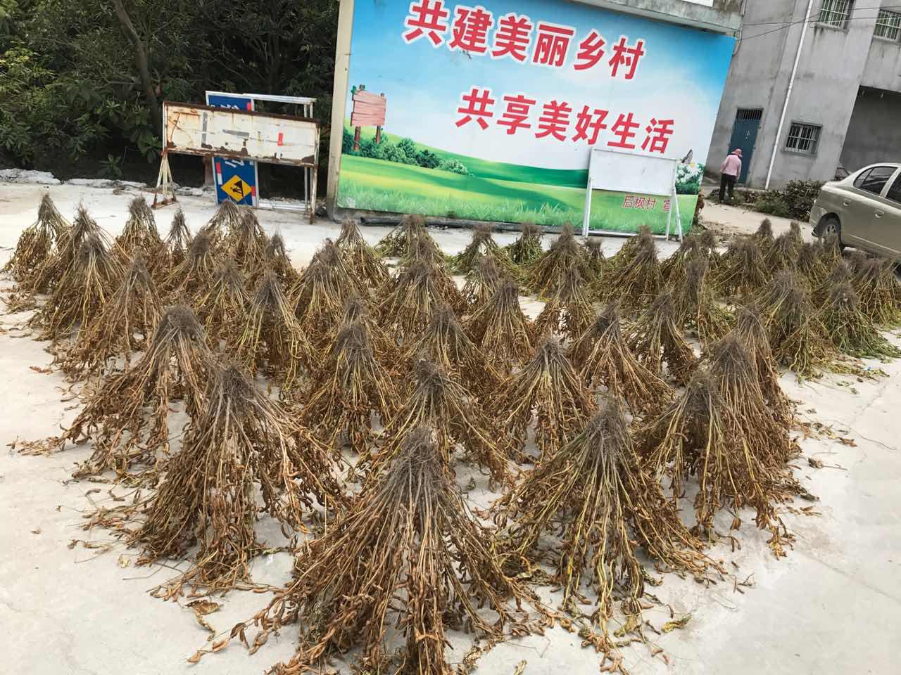 秸秆变废为宝 城厢区农业局多举措推广回收再利用技术