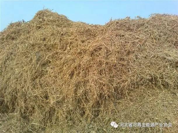 河北农作物秸秆综合利用率突破95.6%，绿色循环助力乡村振兴