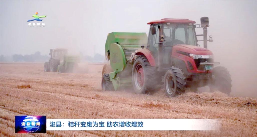 肉牛养殖企业与种粮大户的秸秆利用双赢策略